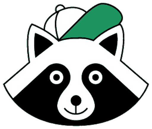 Енот — маскот школы ENOTSCHOOL